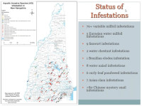 IAS map