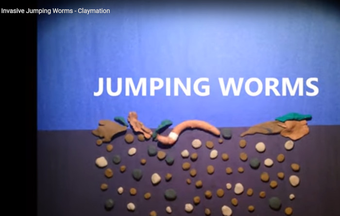 Claymation worm video