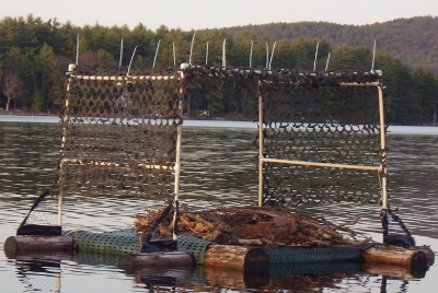Loon Nesting Raft