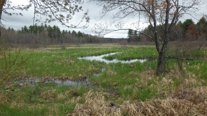 South River after leaving Province lake 5/12/2017