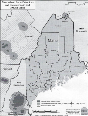 Emerald Ash Borer distribution map