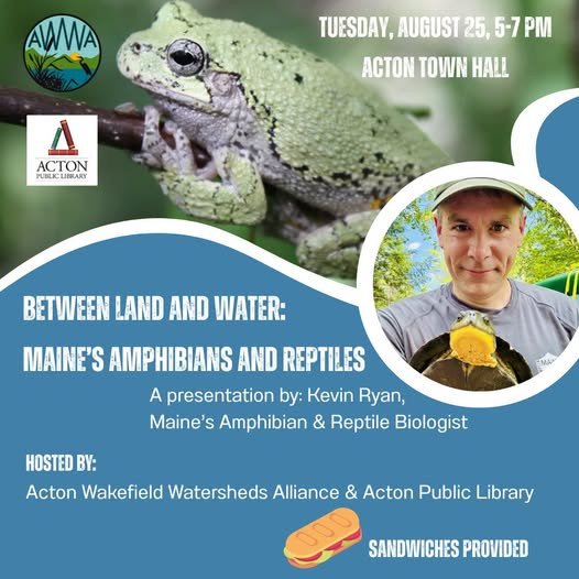 Maine herps