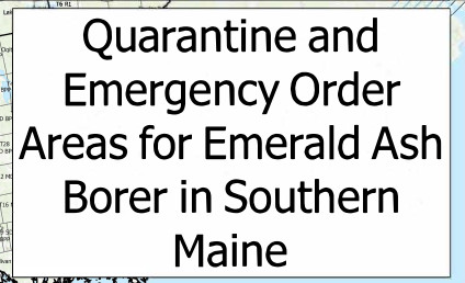 EAB Quarantine Area